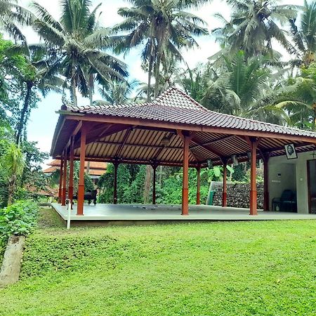 As I Am Ubud Retreat Buitenkant foto