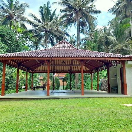 As I Am Ubud Retreat Buitenkant foto