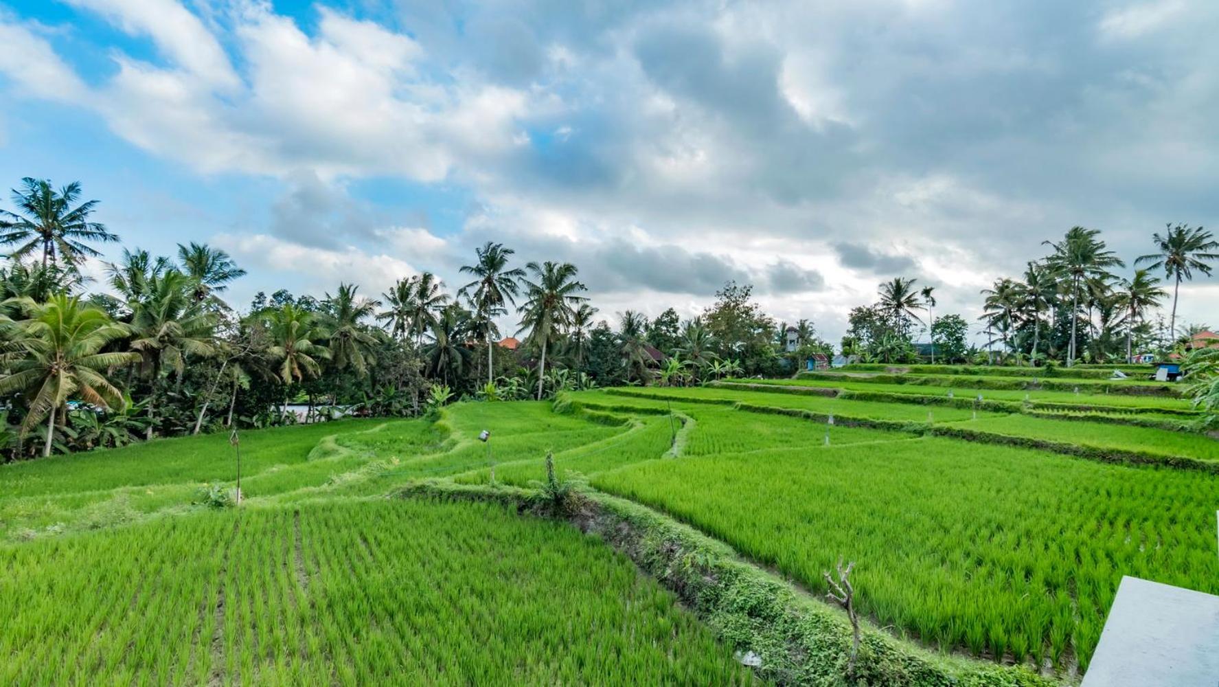 As I Am Ubud Retreat Buitenkant foto