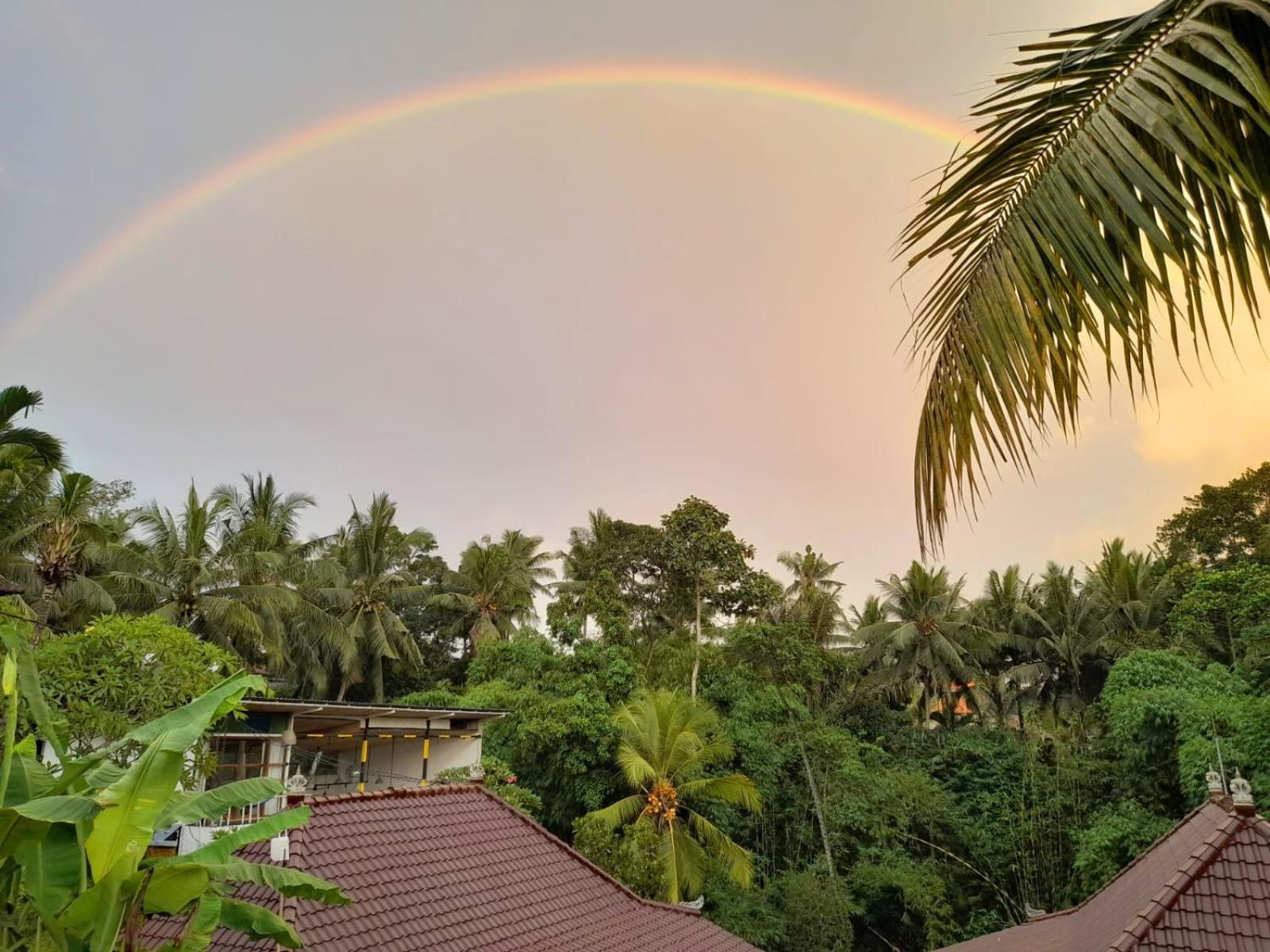 As I Am Ubud Retreat Buitenkant foto
