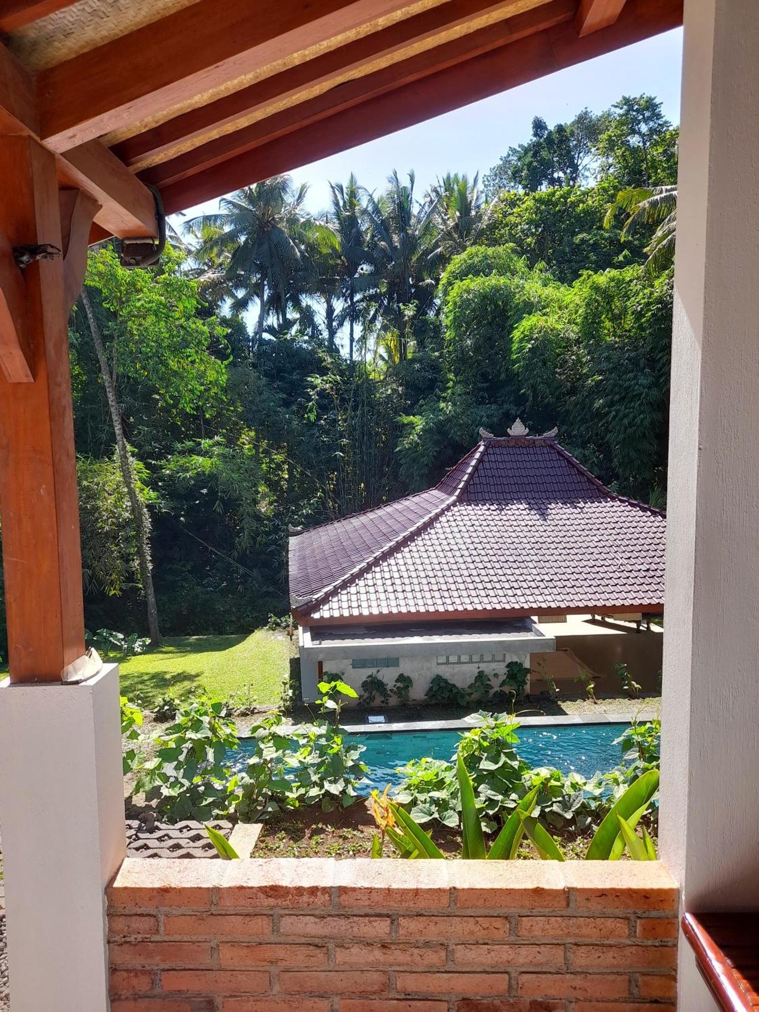 As I Am Ubud Retreat Buitenkant foto